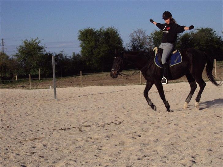 Anden særlig race Kasmir  - Der er tidspunkter, hvor vi kan stole på en hest.
Tidspunkter, hvor vi ikke kan, og tidspunkter, hvor vi er nødt til det.

i believe i can fly<3 forår 2011 -foto: julie billede 16