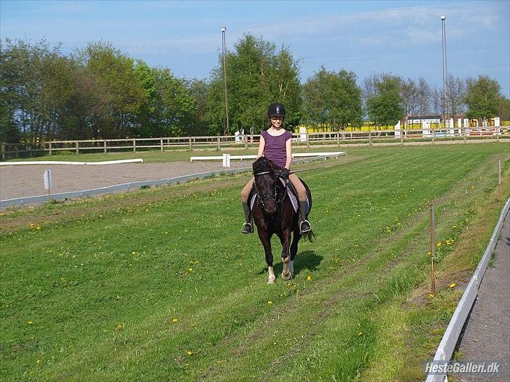 Anden særlig race Cirkeline - Cirkeline og jeg skridter af efter en dejlig ridetur.. Foto: Kathrine Arents :) billede 2