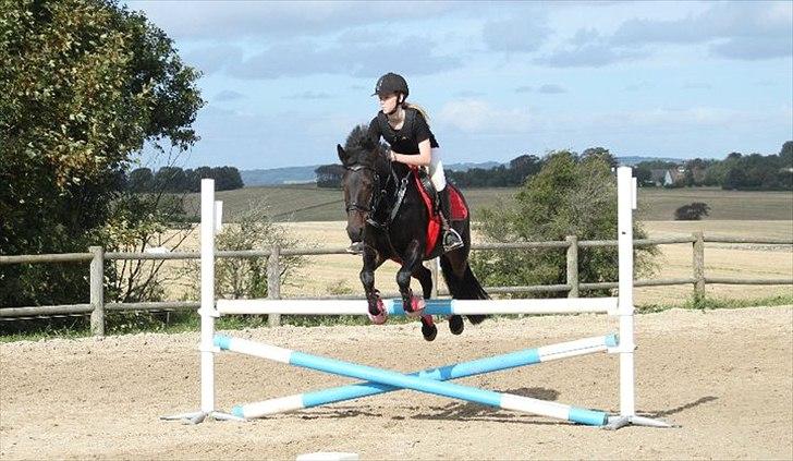 Anden særlig race Thyra - Stævne første LB !! Dejlig pony billede 20