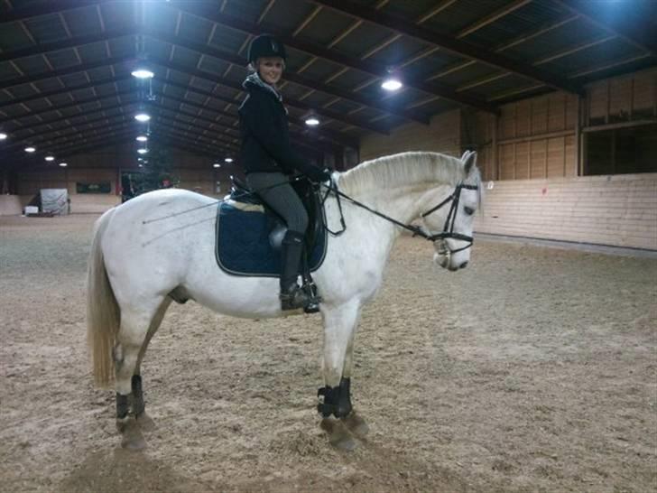 Anden særlig race Silverlea Picasso - Dejlig ekvipage - Picasso og hans søde part Camilla:) 2 stjerner:) billede 14