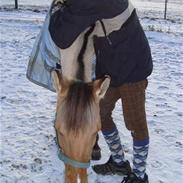 Anden særlig race Beauty Julie's gamle halv part