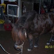 Shetlænder baron er død