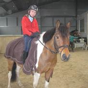 Anden særlig race Mr. Magic Segal <3