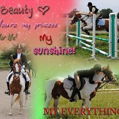 Pinto Beauty 'stjerneponyen!' 