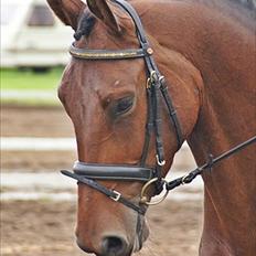 Oldenborg Fleur (Olga)