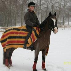 Anden særlig race Lady