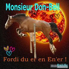 Dansk Varmblod Monsieur Don-Bell - R.I.P