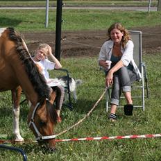 Pinto Holleskovgårds Teckla.
