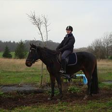 Traver Golden Flamingo