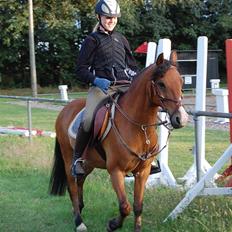Anden særlig race Don Pedro