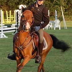 Anden særlig race Don Pedro