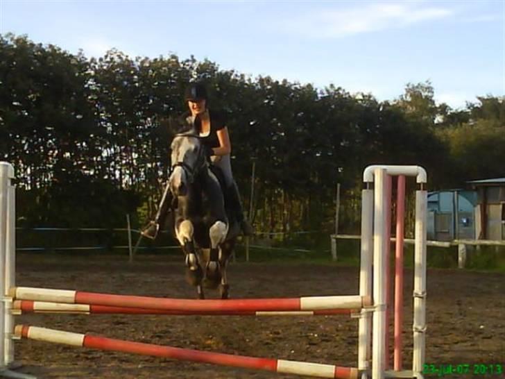 Pinto Pepsi billede 11