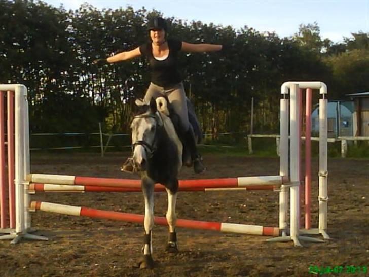 Pinto Pepsi billede 12