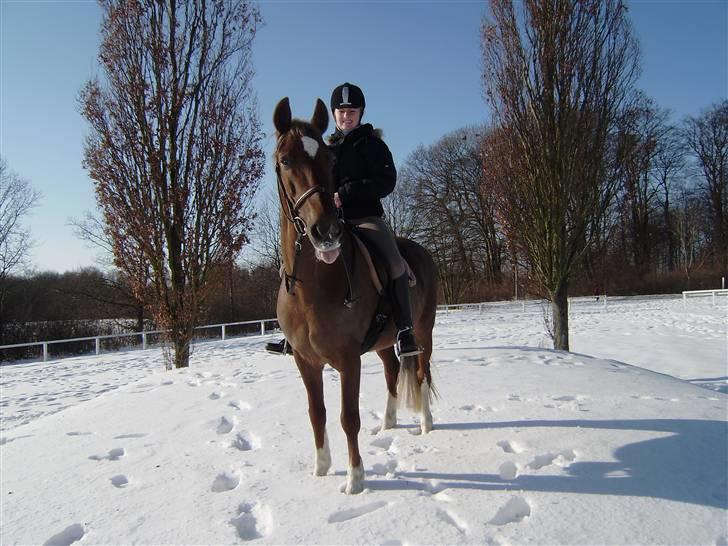 Anden særlig race Madonna<33  - Tuunge:P<3 billede 19