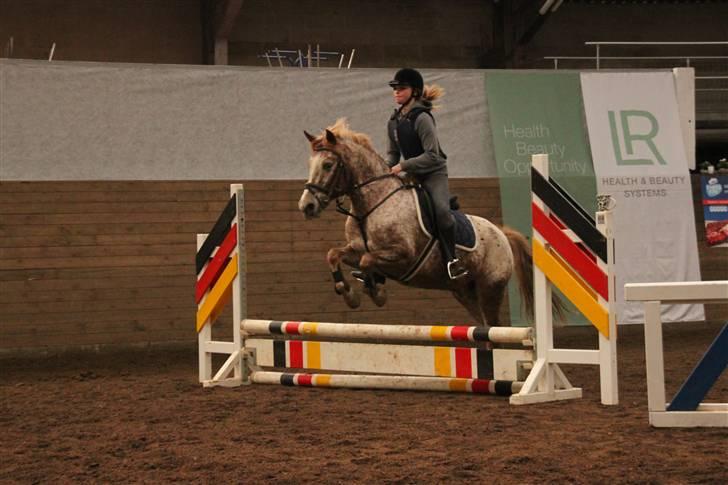 Knabstrupper Jolly Jumper<3 |Gml. Part| - Smukke smukke :D Foto : Nana billede 10