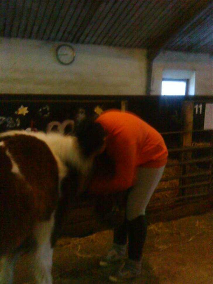 Anden særlig race Grøndahls Pepsi (Pepser) - 2010 billede 5