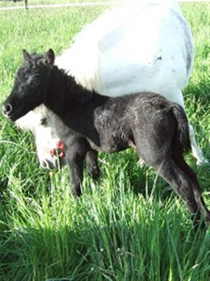 Miniature Emilie Bredager billede 2