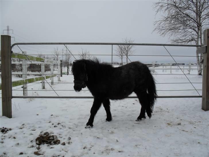 Miniature Emilie Bredager billede 3