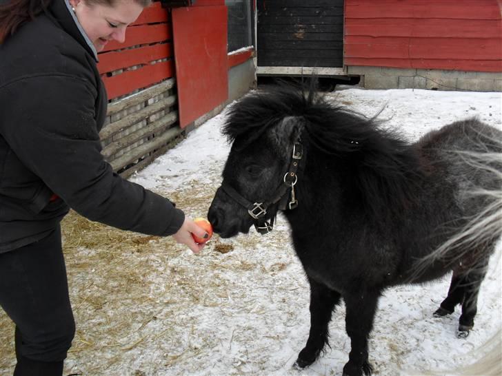 Miniature Emilie Bredager billede 4