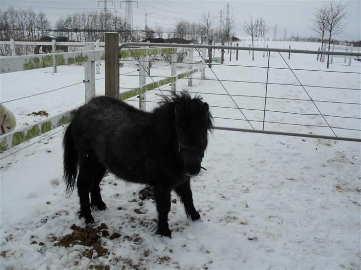 Miniature Emilie Bredager billede 5