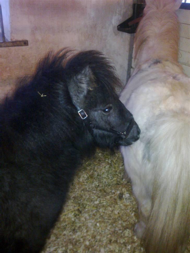 Miniature Emilie Bredager - Emilie og hendes mor Emma billede 6