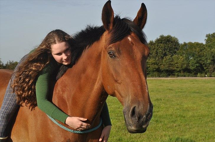 Dansk Varmblod Lucky Two - Hej (: Velkommen til Luckys profil (: Lig gerne en kommentar og stemme inden du går igen (: billede 1