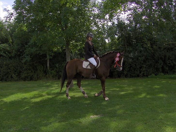 DSP La Rosa billede 5