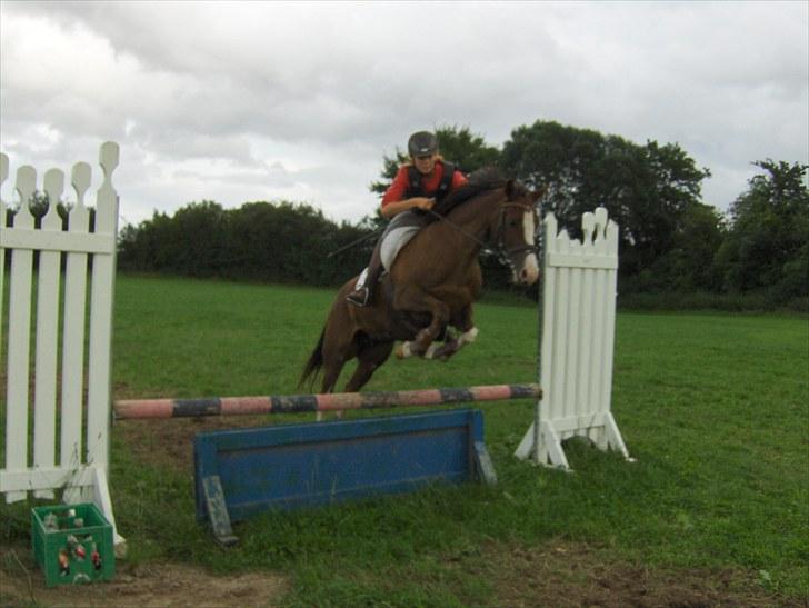 DSP La Rosa billede 8