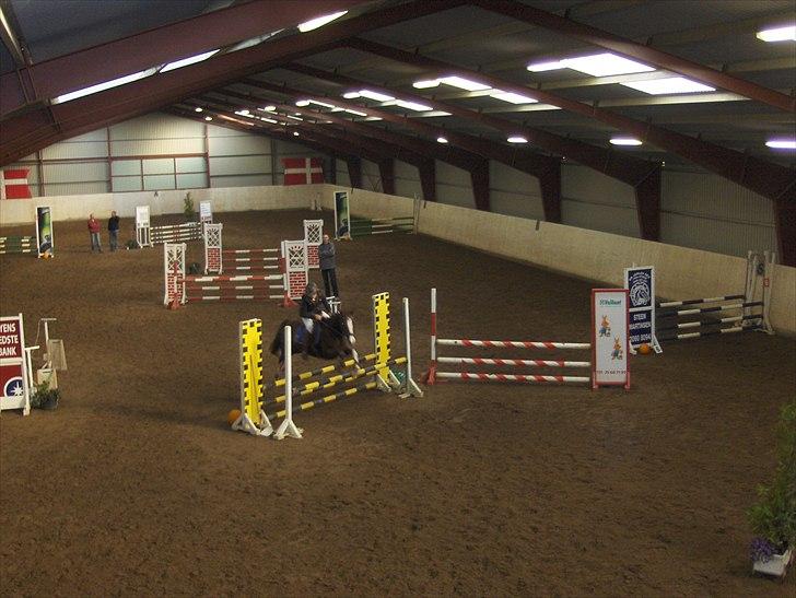 DSP La Rosa billede 10