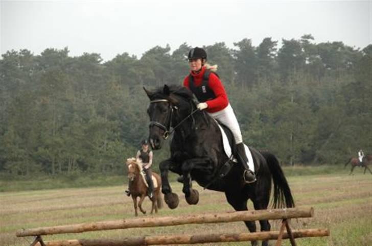 Anden særlig race Viva Vilma billede 14