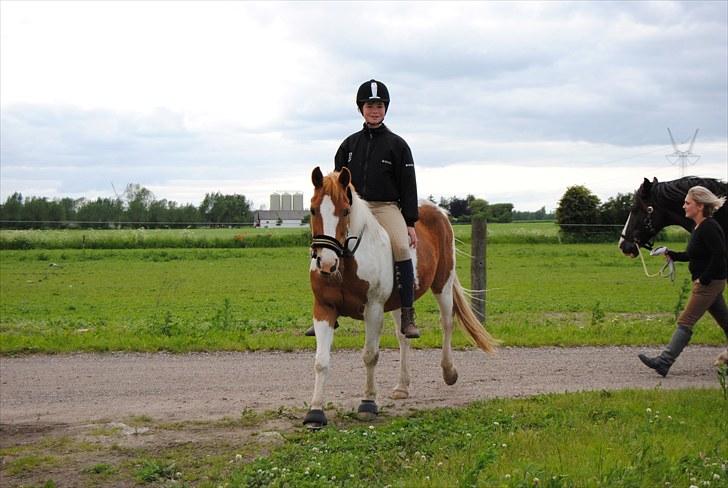 Pinto Beauty 'stjerneponyen!'  - 5* lidt hygge på vej op fra folden :D ~foto: far~ billede 2