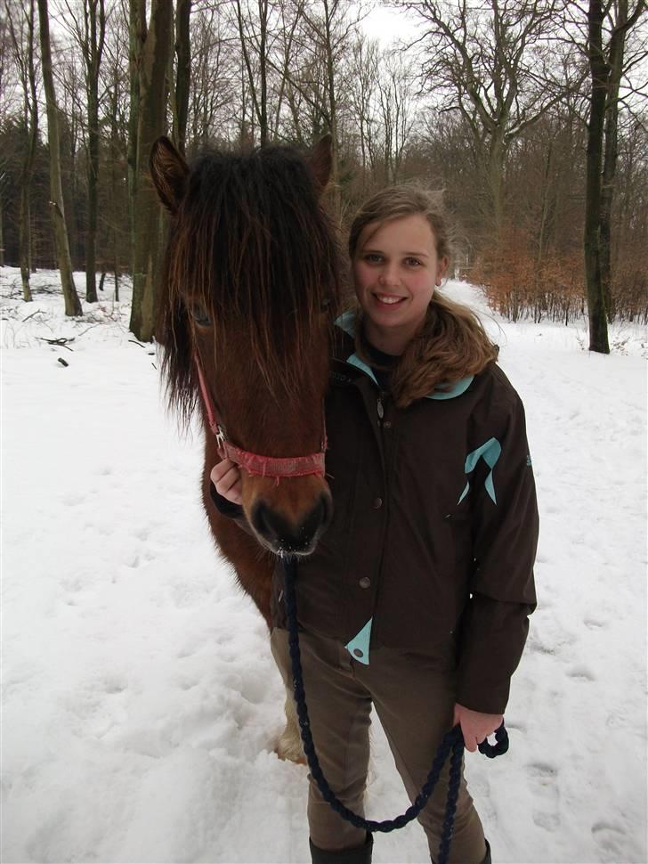 Islænder Fjörgull fra freersvang - En gå tur i skoven :-)-Må IKKE kopieres- billede 8