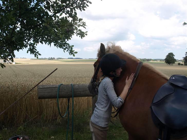 Islænder Sóley fra Lille Nørregård - Ahhhh hvor er du dejlig blød Sóley billede 6