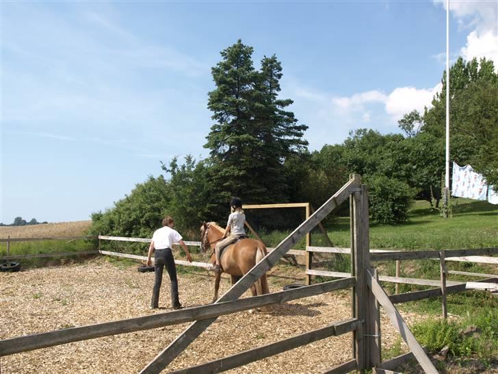 Islænder Sóley fra Lille Nørregård - første gang på Sóley!!!!:-) billede 10