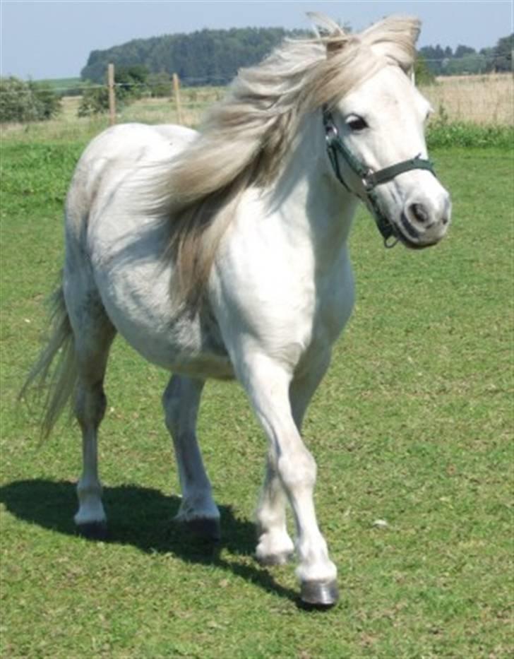 Miniature Emma Bredager billede 1