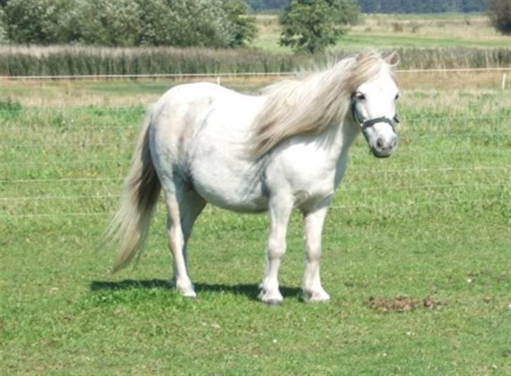 Miniature Emma Bredager billede 2