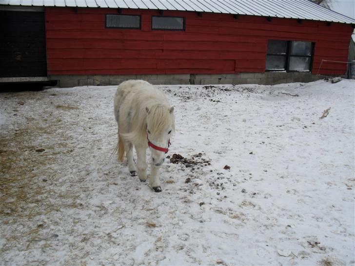 Miniature Emma Bredager billede 3