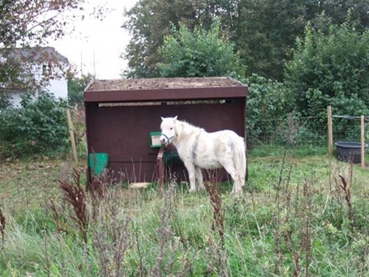 Miniature Emma Bredager billede 4