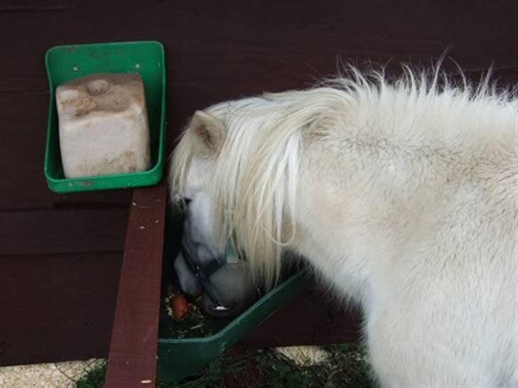 Miniature Emma Bredager billede 5