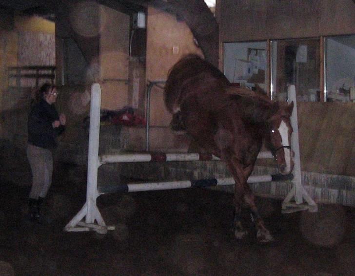 Frederiksborg Maja - Gammel part billede 18