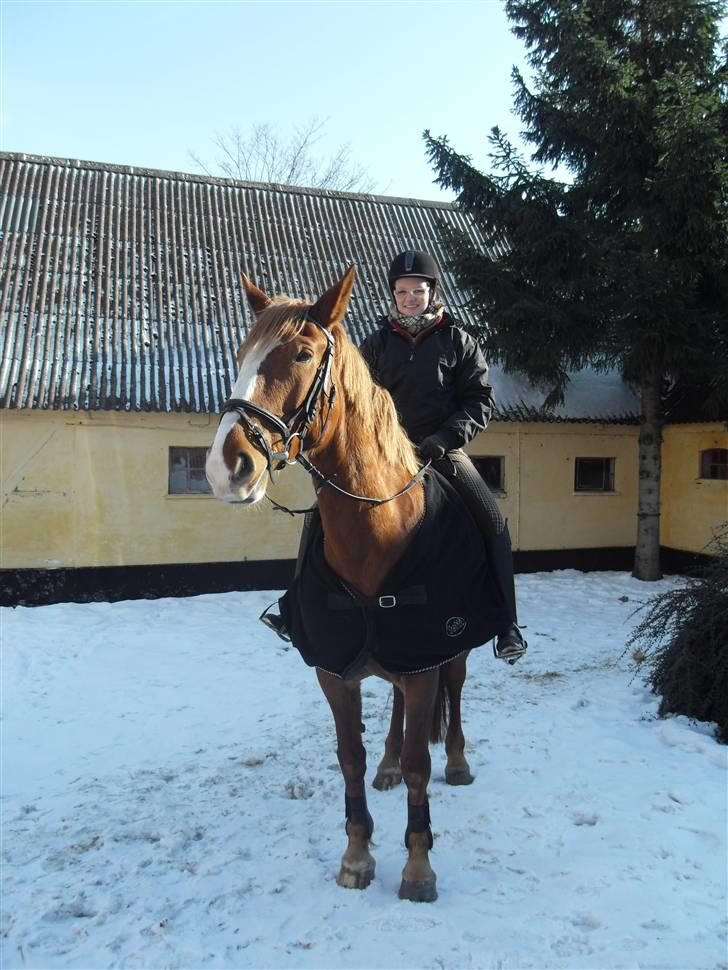 Frederiksborg Maja - Gammel part billede 19