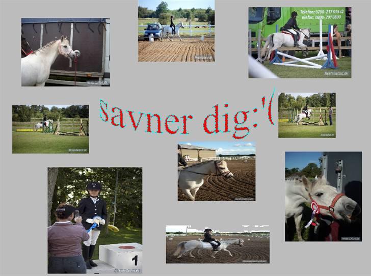 Anden særlig race Perle :*<3 DP:* R.I.P  :( - 13.savner dig perle :´( men jeg ved også du har det godt ved din nye ejer ;´) du vil altid har et plas i MIT hjerte :*<3 DU ER OGSÅ MIT ET&ALT<3<3<3 billede 13