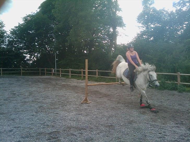 Anden særlig race Savannah R.I.P - SLET ikke fogene ;D hahah billede 19