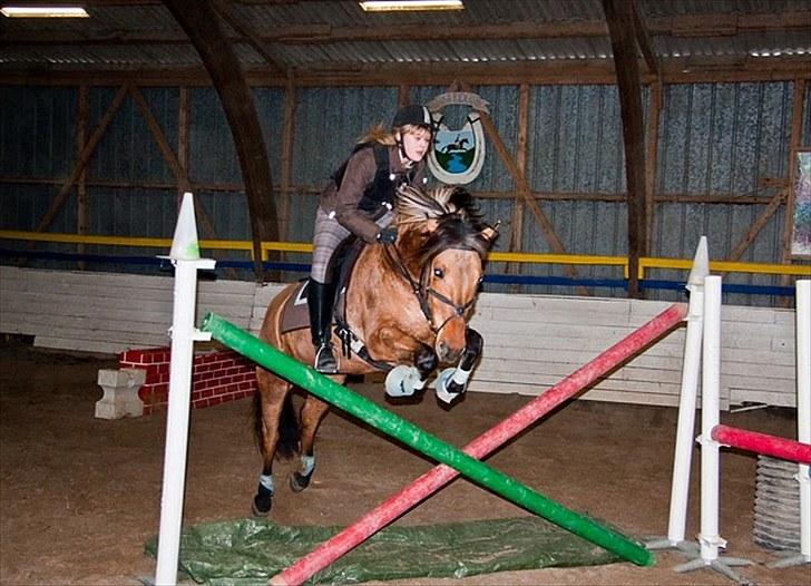 Anden særlig race Loke - - Springdag med Cille : ) - Fotograf: Maria Rasch billede 4