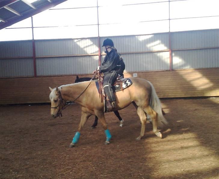 Quarter Tes Twinkie Winkie billede 10