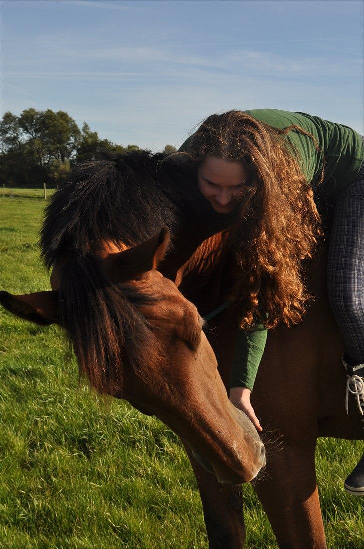 Dansk Varmblod Lucky Two - Lucky & Mig helt frit, ude på folden (; Dog med en opfindsom cordeo hehe (: billede 2