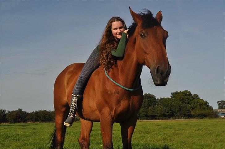 Dansk Varmblod Lucky Two - Lucky & Mig helt frit ude på folden (; Dog med en opfindsom cordeo hehe (: billede 3