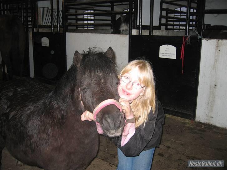 Shetlænder pippi R.I.P - lækker uden dig total lækker med dig billede 6