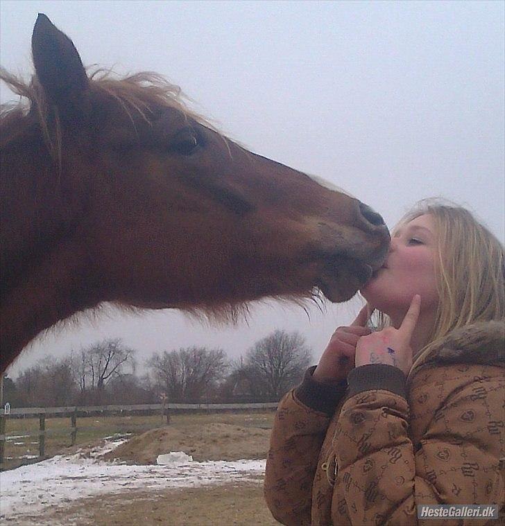 DSP Dressgirl Bitsch - Dig & mig foraltid ! billede 20