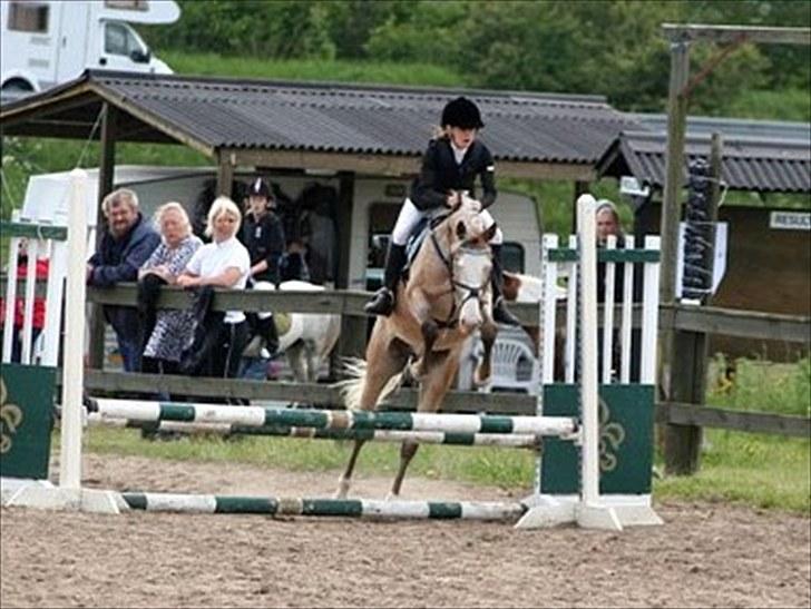 Anden særlig race Roosgårdens Cosmopolitan *Udlånt* - 1. Stævne VHRK - LD og LC - 2 nulrunder..:) billede 19